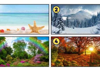 الفصل الذي تفضله يكشف السمات الخفية لشخصيتك