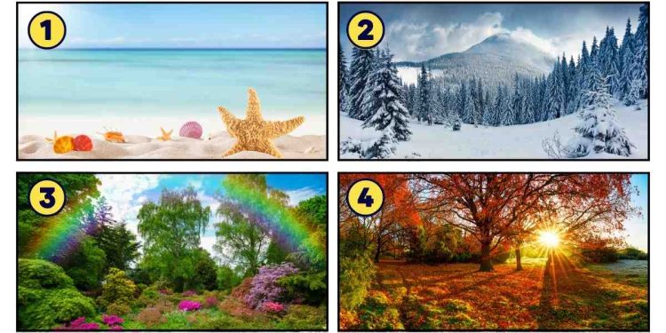 الفصل الذي تفضله يكشف السمات الخفية لشخصيتك