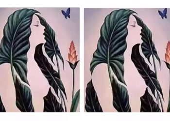 اختبار الشخصية: ما تراه أولاً في هذه الصورة يكشف عن أخلاقياتك في العمل