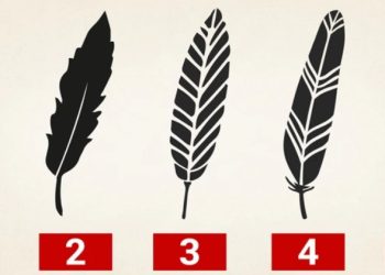 اختر ريشة أعجبتك من الصورة لنكشف قوتك الداخلية الخفية!