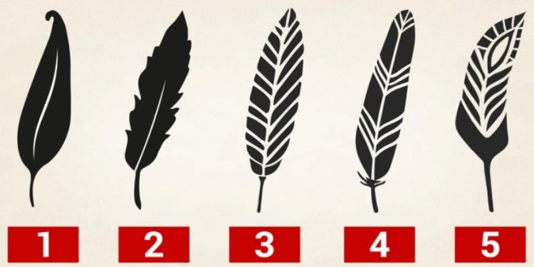 اختر ريشة أعجبتك من الصورة لنكشف قوتك الداخلية الخفية!