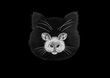 اختبار الشخصية: هل رأيت قطًا أم فأرًا أولاً؟