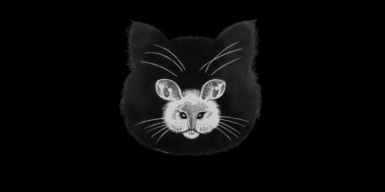 اختبار الشخصية: هل رأيت قطًا أم فأرًا أولاً؟