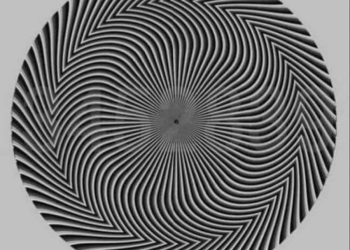 هل تستطيع القيادة في الأجواء الممطرة؟ تحدى نفسك عبر هذا الاختبار