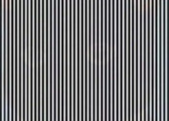 هل يمكنك اكتشاف الحيوان المخفي في 11 ثانية!