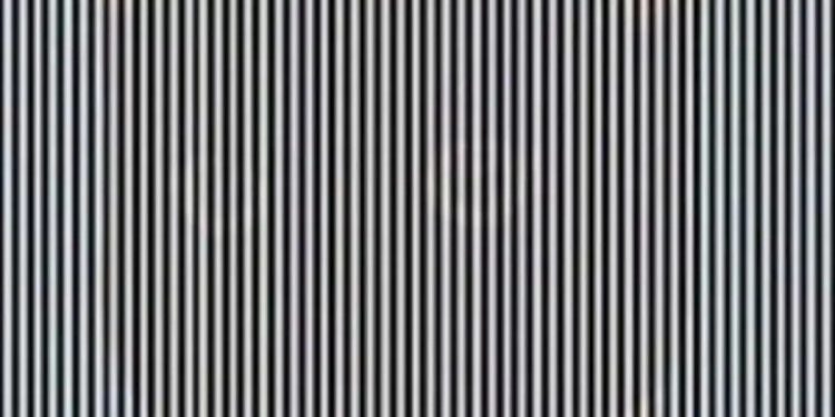 هل يمكنك اكتشاف الحيوان المخفي في 11 ثانية!