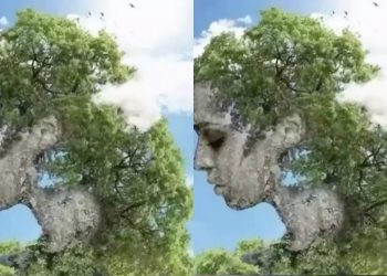 هل تحب الالتزام بالقوانين أم أنك تتمرد عليها؟