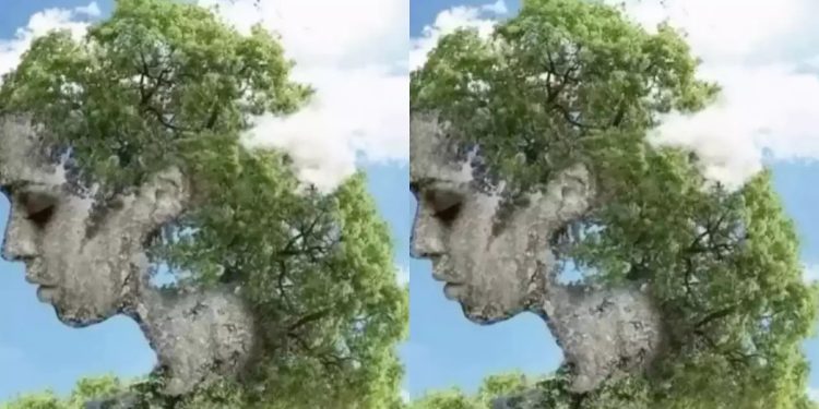 هل تحب الالتزام بالقوانين أم أنك تتمرد عليها؟