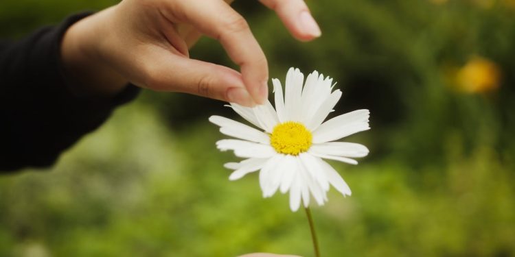 كيف أعرف هل هو معجب بي أم أتوهم؟