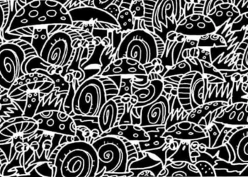 هل يمكنك العثور على السيارة في هذه الصورة في 12 ثانية؟