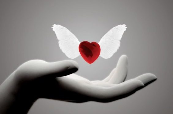 كيف أعرف أن الشخص الذي أحبه يبادلني نفس الشعور؟