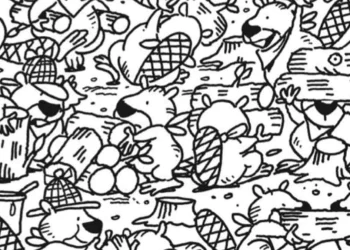 اختبار لقياس الذكاء: فقط 1% من الناس يمكنهم اكتشاف المحار في 12 ثانية!