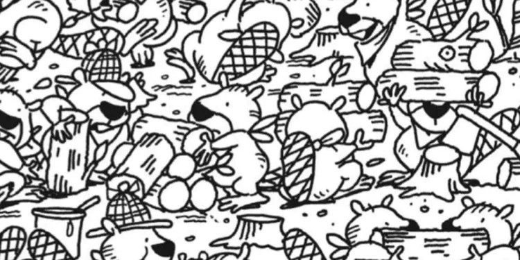 اختبار لقياس الذكاء: فقط 1% من الناس يمكنهم اكتشاف المحار في 12 ثانية!