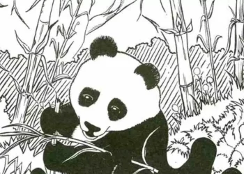 العثور على الحذاء المخفي