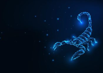 البرج المناسب لبرج العقرب الرجل