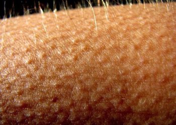 سبب القشعريرة المفاجئة في علم النفس