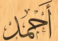 معنى اسم أحمد