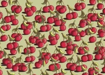 هل يمكنك العثور على الطماطم المختبئة بين الكرز في 5 ثوانٍ؟