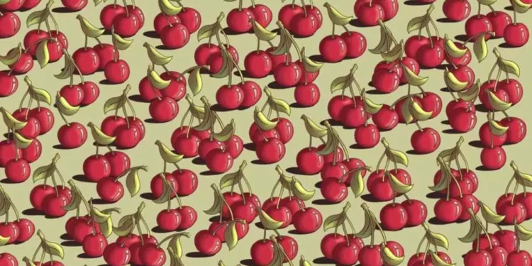 هل يمكنك العثور على الطماطم المختبئة بين الكرز في 5 ثوانٍ؟