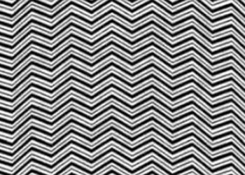 اختبار قياس معدل الذكاء: هل تستطيع رؤية الحيوان المختبئ في 5 ثوانٍ فقط؟