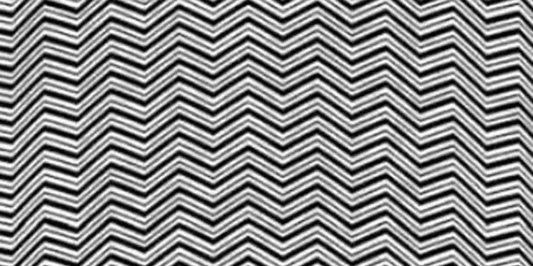 اختبار قياس معدل الذكاء: هل تستطيع رؤية الحيوان المختبئ في 5 ثوانٍ فقط؟