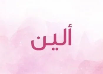 معنى اسم ألين