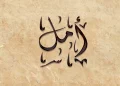 معنى اسم أمل