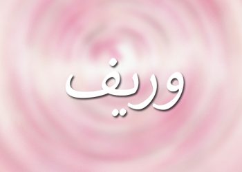 معنى اسم وريف
