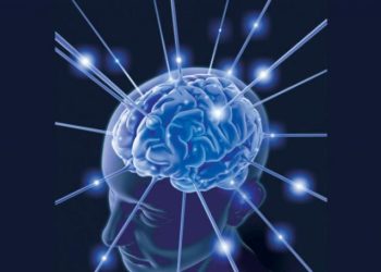 تمارين لتحسين الذاكرة طويلة المدى