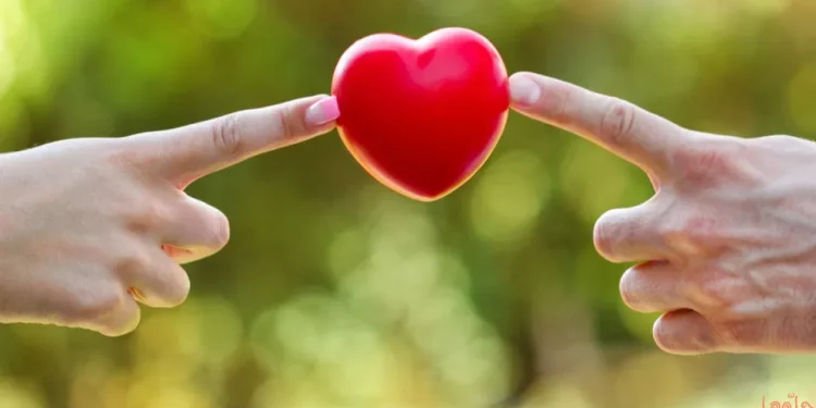 كيف تدير العلاقات العاطفية بعقلانية؟