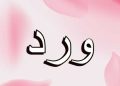 معنى اسم ورد
