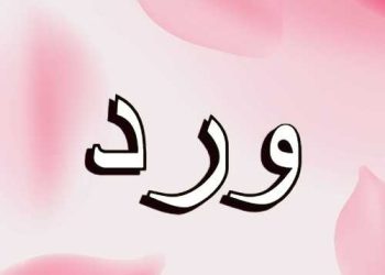 معنى اسم ورد