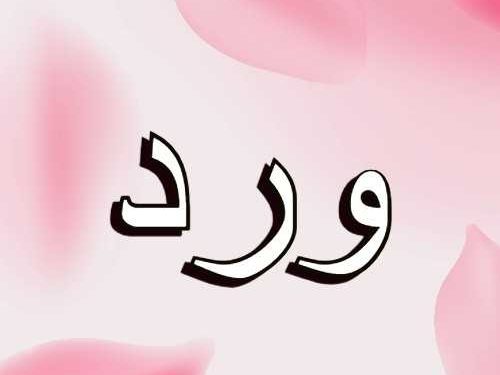 معنى اسم ورد